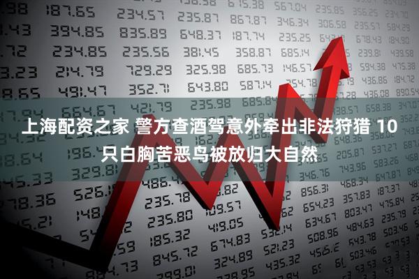 上海配资之家 警方查酒驾意外牵出非法狩猎 10只白胸苦恶鸟被放归大自然