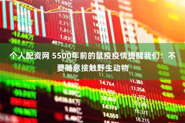 个人配资网 5500年前的鼠疫疫情提醒我们：不要随意接触野生动物